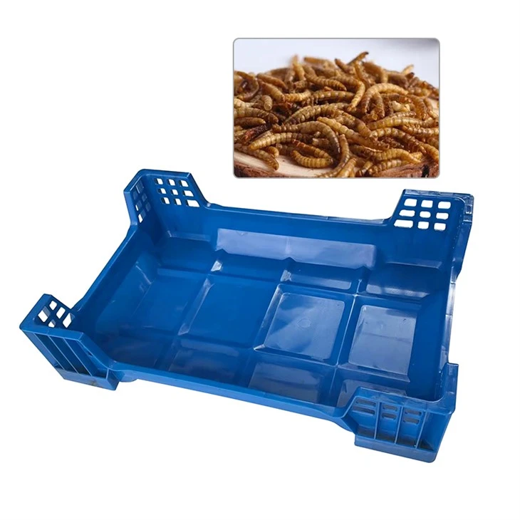 Beetle Inlay Tray factory